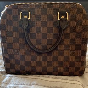 Louis Vuitton Speedy 25 in Damien Ebene